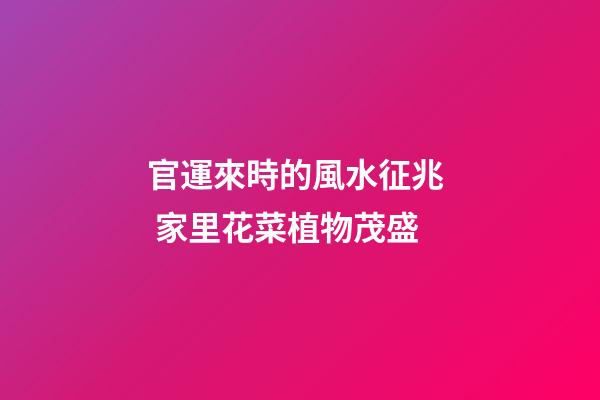 官運來時的風水征兆  家里花菜植物茂盛